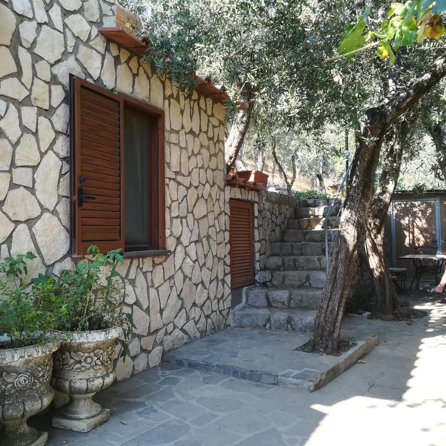 La Mandra, Cottage Tra Gli Ulivi Vico Equense Kültér fotó